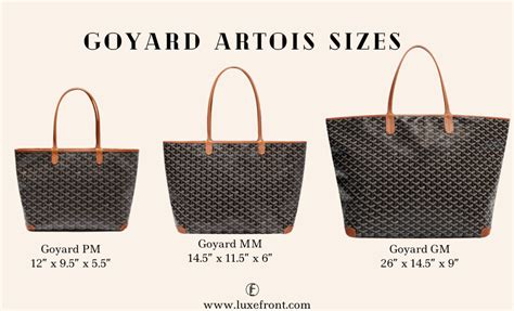 goyard size pm or gm.